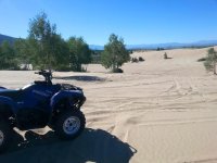 dunes2.jpg