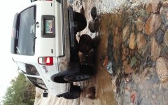 20150426_164352.jpg
