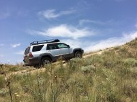 IMG_1082.jpg