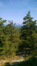 IMG_20150710_095432057~2.jpg