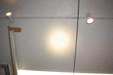 DSC_5298.jpg