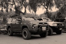 warthog-greyscale.jpg