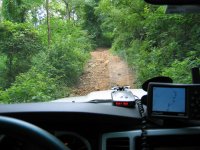 trail-2.jpg