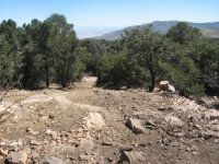 big bear 003-1.jpg