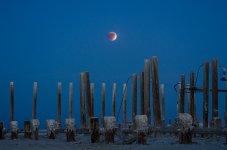 MoonOverPilings.jpg