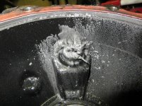IMG_7299_800x600.jpg