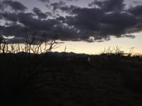 IMG_1087.jpg