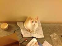 IMG_0673.jpg IMG_0673.jpg