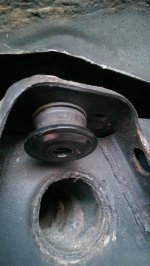 IMAG0768.jpg