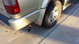 20151114_164407.jpg