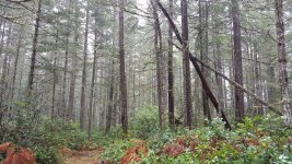 20151114_092655.jpg