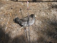IMG_0717.jpg