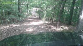 Bald eagle 4runner, bicycle & Buttercup 008.jpg