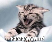 Rawr_rawr.jpg