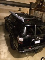 IMG_3095.jpg