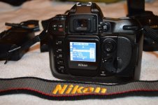 DSC_0040 e.jpg