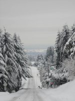 winter_4.jpg
