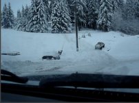 winter_1.jpg