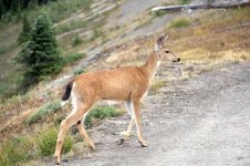 Obstruction Point_3.jpg