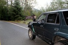 Hoh Rain Forest_1.jpg