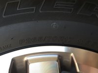 IMG_4348.jpg