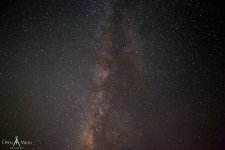 Solo_BeachCamping_OpenMindImagery-1.jpg