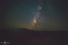 Solo_BeachCamping_OpenMindImagery-2.jpg