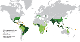 ViralSpreadChikungunya.png
