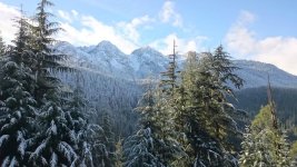 DSC_0067.jpg