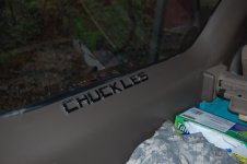 DSC_5408.jpg
