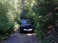 IMG_1632.jpg