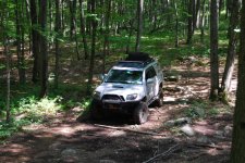 DSC_0074.jpg DSC_0074.jpg