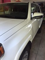 IMG_6402.jpg