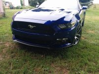 IMG_20150818_084941.jpg