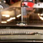 IMG_4692.jpg