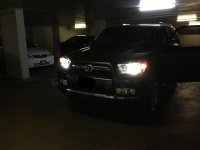 IMG_3695.jpg