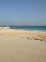IMG_3879.jpg