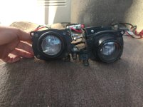 Fogs 4 Sale (5).jpg