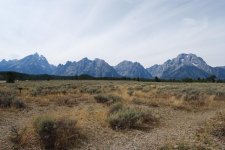 DSC_0992.jpg