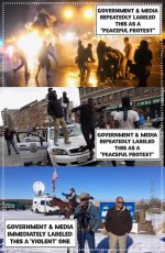 peaceful protest propaganda.jpg