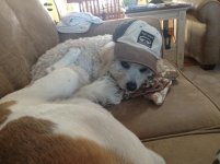 IMG_0622.jpg