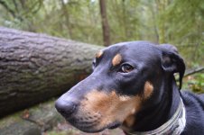 _DSC0170.jpg