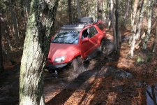 IMG_2774.jpg