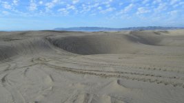 IMG_3544.jpg