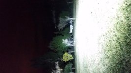 20151219_184452.jpg