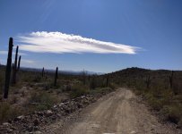 IMG_20160131_123523.jpg