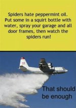 Pepermint Spiders.jpg