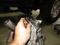 IMG_7510_800x600.JPG