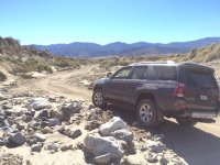 IMG_1474.jpg