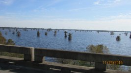 Atchafalaya basin1.jpg